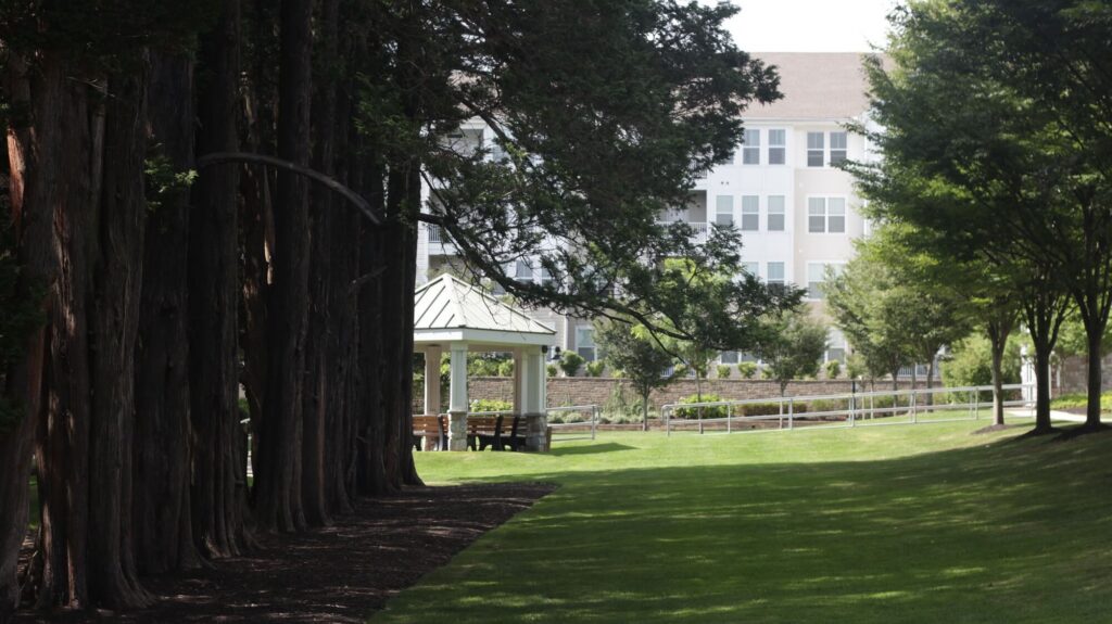 A row of tall trees shades a green lawn, leading to a white gazebo with benches beneath it. In the background, there is a large, light-colored building surrounded by other trees and landscaping.